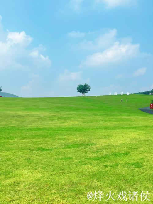 久久青青草原,静享悠然时光 久久青青草原,静享悠然时光