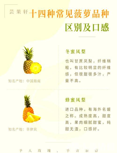 菠萝视频黄的趣味解读与探索分析 菠萝视频黄的趣味解读与探索分析