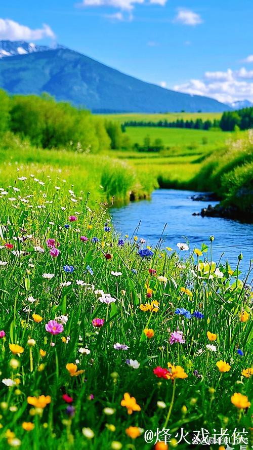 青青青青青草的诗意芬芳与自然之美 青青青青青草的诗意芬芳与自然之美