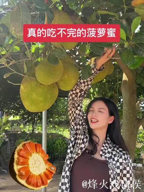 美女销魂菠萝蜜视频